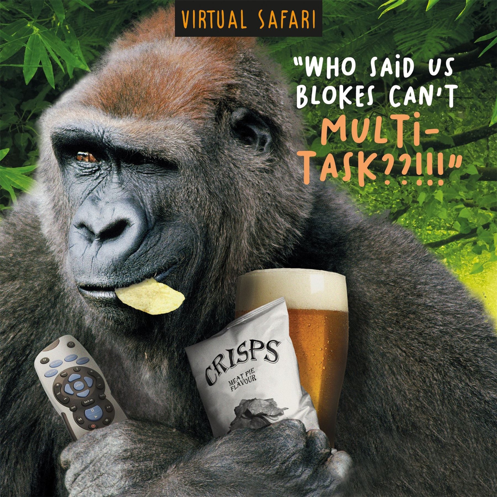 Birthday card ,Virtual Safari, Multi-task, Happy Birthday card