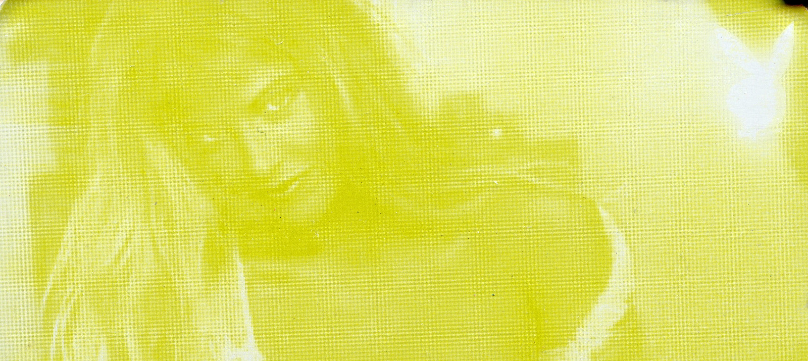 Playboy Hot Shots Eloise Broady Yellow Printing Plate | eBay