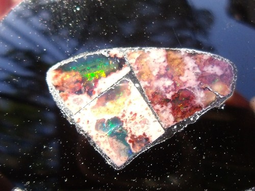 850 CTS Black Obsidian Turtle with Cantera Fire Opal Inlay - Picture 14 of 23