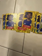 2022 Panini World Cup Qatar Sticker Cards Checklist 24