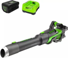 Greenworks - 80-Volt 750 CFM Cordless Handheld Blower (1 x 2.5Ah Battery and ...