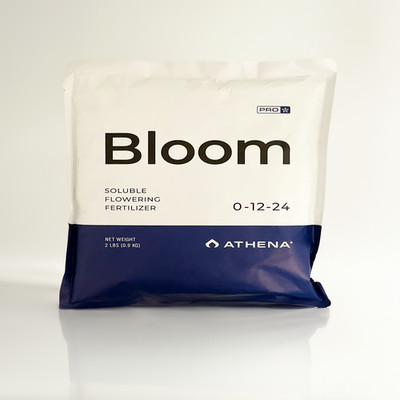 Athena Pro Bloom