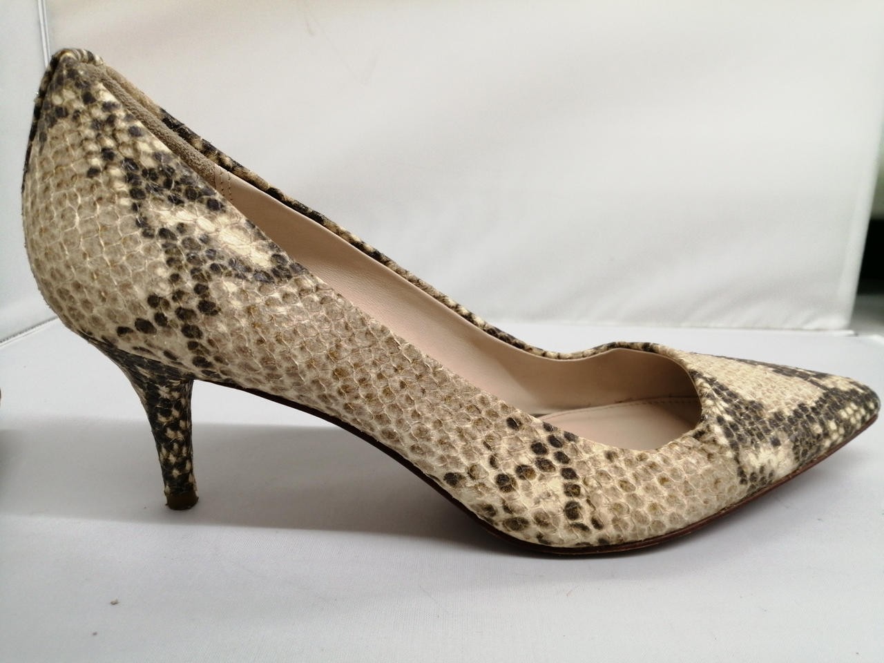 Coach Python Pattern 26.5Cm Pumps High Heels FY274 - image 10