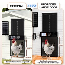 Large Size Solar Powered Automatic Chicken Coop Door with Timer  Light Sensor