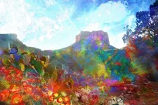 28 x 42 Single Piece Signed Abstract  Acrylic “Sedona Flowers”