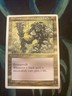 1995 Magic: The Gathering SOL'KANAR the Swamp King Chronicles