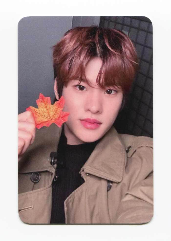 RIIZE - RIIZING : Epilogue [EVERLINE] PREORDER EXCLUSIVE OFFICIAL