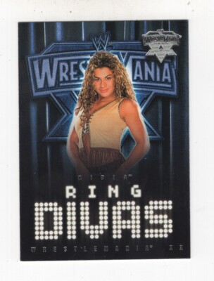 WWE Road to WrestleMania XX アクリルスタンド 非売品 WAVE - WWE