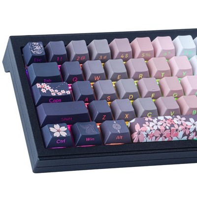 JOMKIZ PBT keycaps, 135 Keys Double Shot Keycaps Side Engraved Transparent Ke...