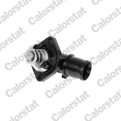 KÜHLMITTEL THERMOSTAT FÜR CITROËN, PEUGEOT - CALORSTAT BY VERNET TH6191.89J