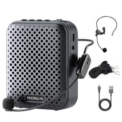 Voice Amplifier for Teachers with 2 Microphones, Portable Voice Amplifier wit...