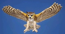 Great Horned Owl 5" Wingspan - Wings Of The World Birds Figure Safari Ltd Toys