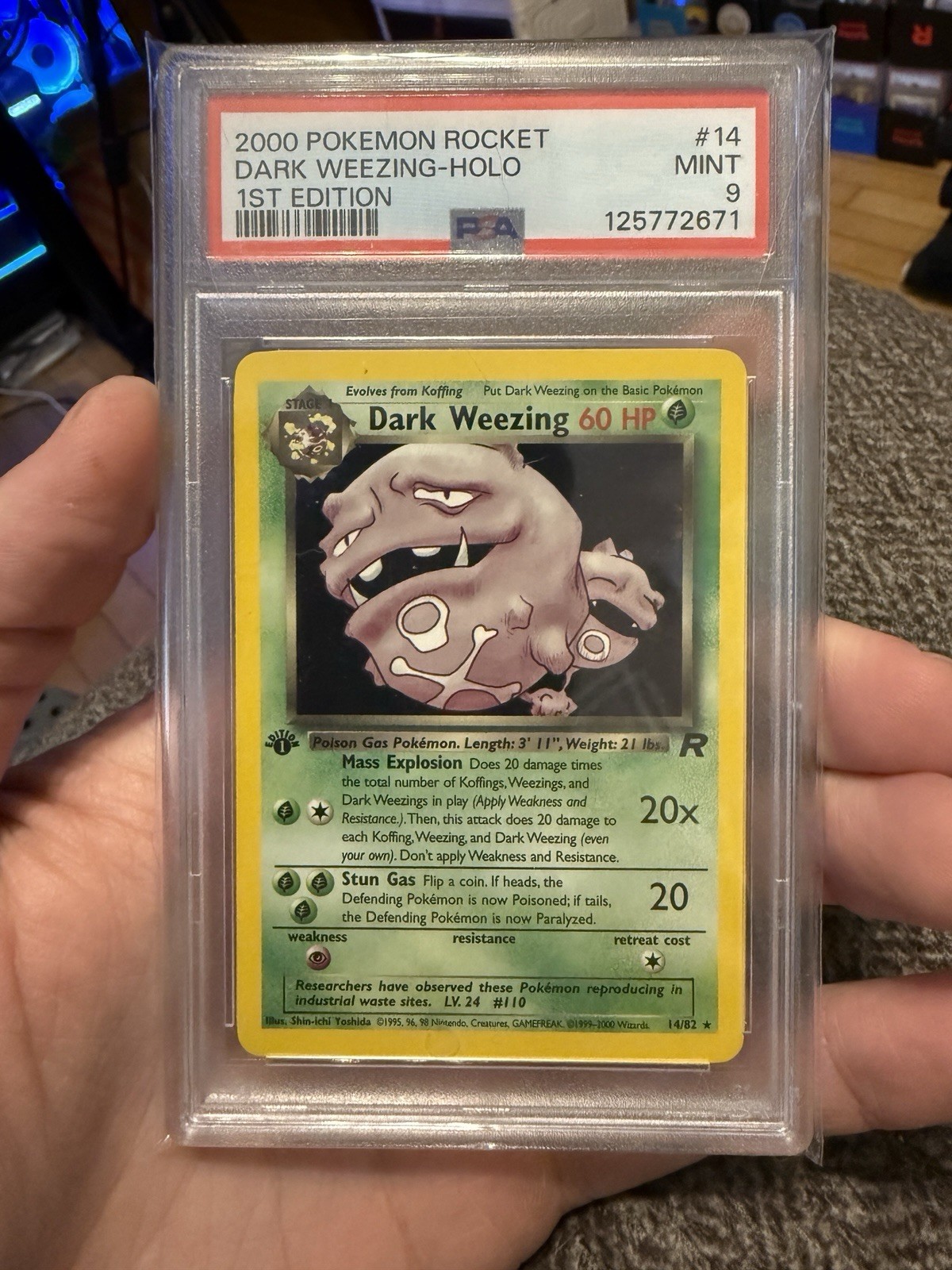 pokemon tcg live missing cards Pokemon TCG Card 2012 Boundaries Crossed - Wartortle 30/149