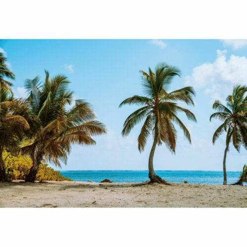 Markenlose Deko-Artikel fürs Fotostudio