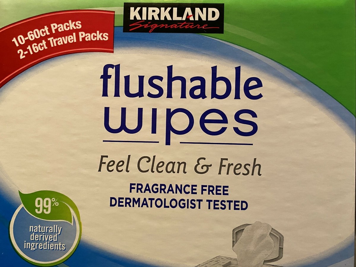 Moist Flushable Wipes Premoistened Camping Toilet Paper Travel Pack Septic  Safe