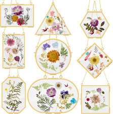 9 Pcs Pressed Flowers Glass Frames Double Glass Hanging Floating Frames Gold DIY