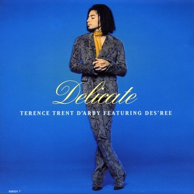 Terence Trent D'Arby - Delicate - Used Vinyl Record 7 - Y5826z