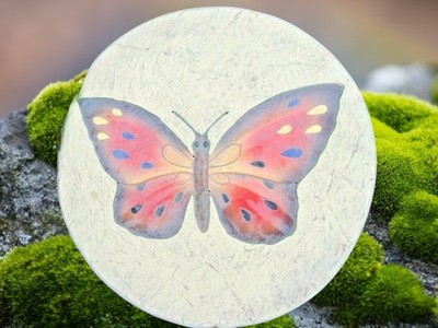 Butterfly plaque mold cement plaster ABS plastic mould 10'' x 1/3'' thick