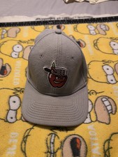 Fort Wayne TinCaps Gray Hat New Era 59Fifty MILB Minor League Baseball Size M/L