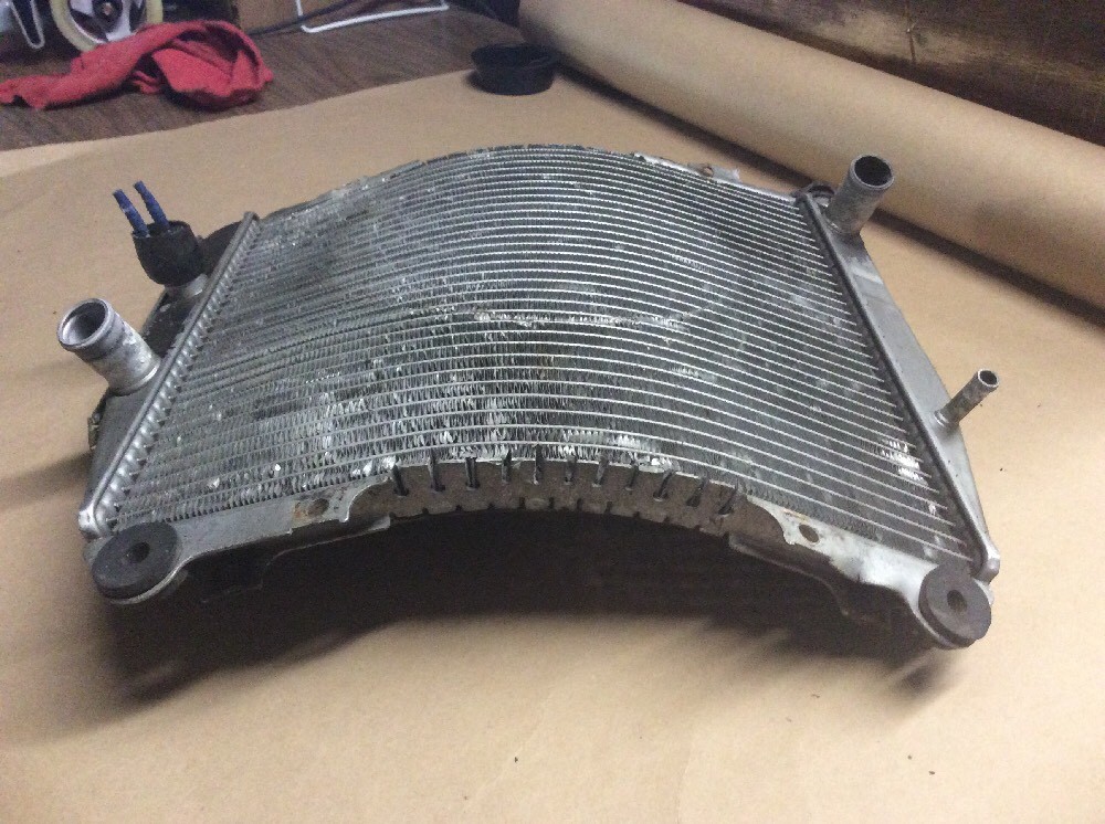 1998-2003 KAWASAKI ZX9R ZX 9R RADIATOR WITH SCREEN OEM #39061-1248