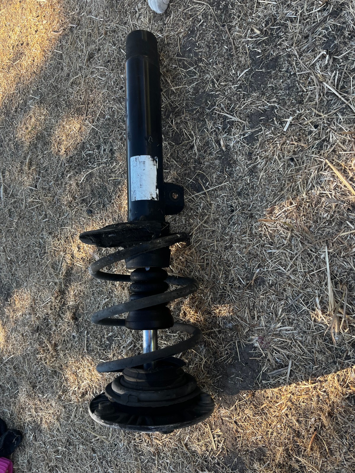 Picture 6 of 10