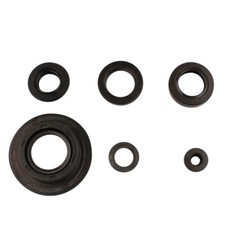 Honda CBF 600 /S, 08-10, PC43 Castrol Power1 10w40 Öl OEM Ölfilter
