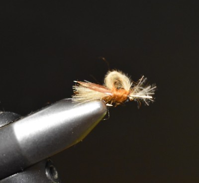 2 Flies,  Size 20,  CDC Emerging Caddis Dry  Fly Fishing Flies