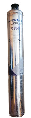 Everpure Pentair 7CB5-K EV9617-76 Carbon Block Cartridge Without Box
