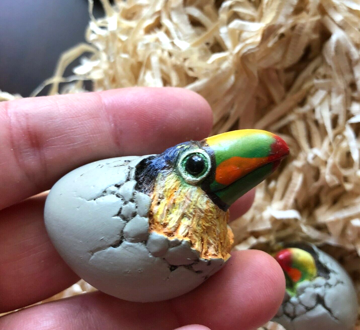 Keel Billed Toucan Eggs Toucan Spotlight: Keel Billed Toucans Are