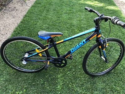 giant veer 24