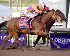 Beholder / Songbird 2016 Bc Distaff Photo 8