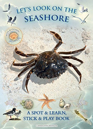 Let's Look On the Seashore: A Natural History Activity Book-Andrea Pinnington