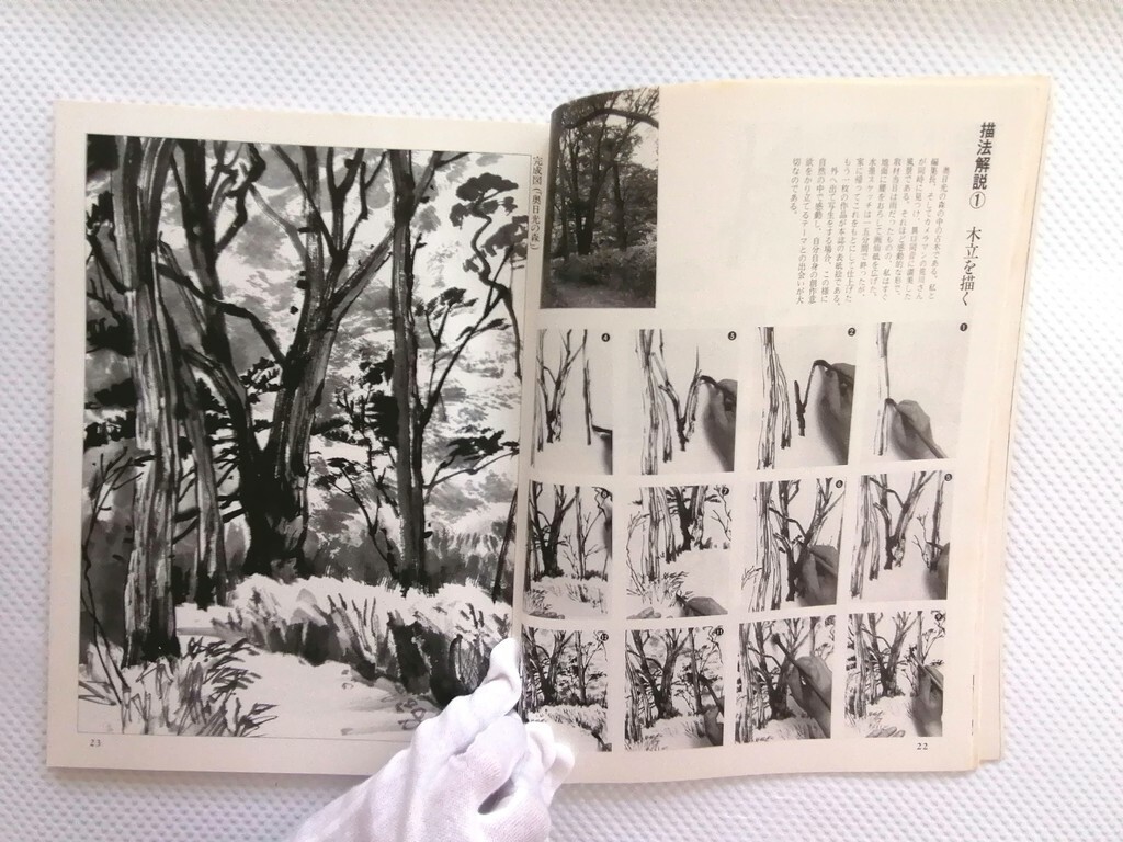 Picture 7 of 10