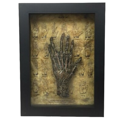 Oddity Cursed 6-Finger Faux Monkey Paw Sculpt Specimen Frame w/ Eerie Spiderwebs