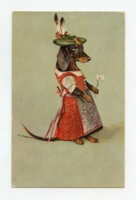 unsigned illustrator. Humanized dog. Dachshund . Dog. Dachshund 