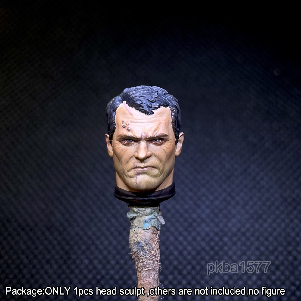 その他 PRESENT TOYS Male Head Sculpture PT-SP75 In Stock PRESENT TOYS PT-SP75 1/6 John Cena Head Sculpt