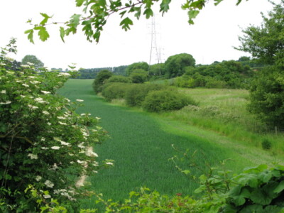 Foto 6x4 Blick NE von der New Dover Road, A2050 Canterbury\/TR1457 um 2009