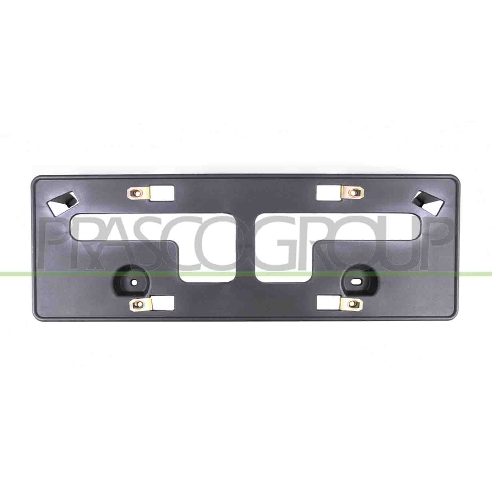 Portatarga Anteriore Ford Kuga ST-Line 2019-2024 | Ricambio 2443938 FD8091539