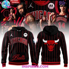 Chicago Bulls Collecting and Fan Guide 16