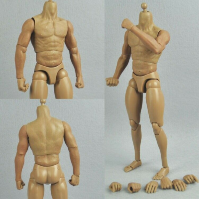 ZC Toys 1/6 Wolverine Man Muscular Flexible Figure Body Model 12