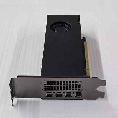 NVIDIA RTX 2000 ADA Generation 16GB GDDR6 Professional Graphics | eBay