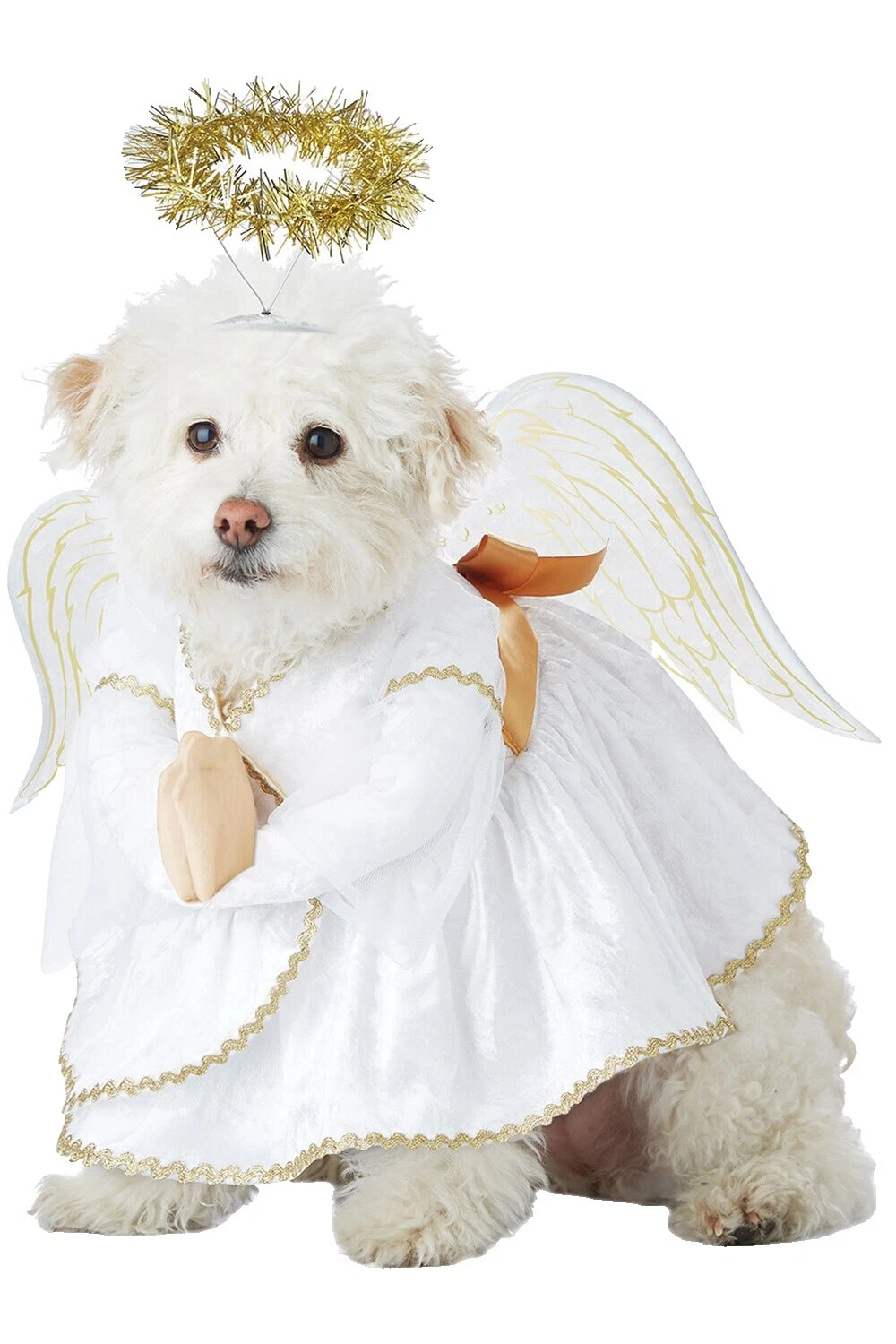 Angel Dog Costumes