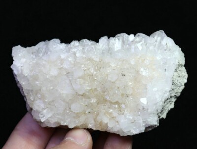156g Natural White Chrysanthemum Clear QUARTZ Crystal Cluster