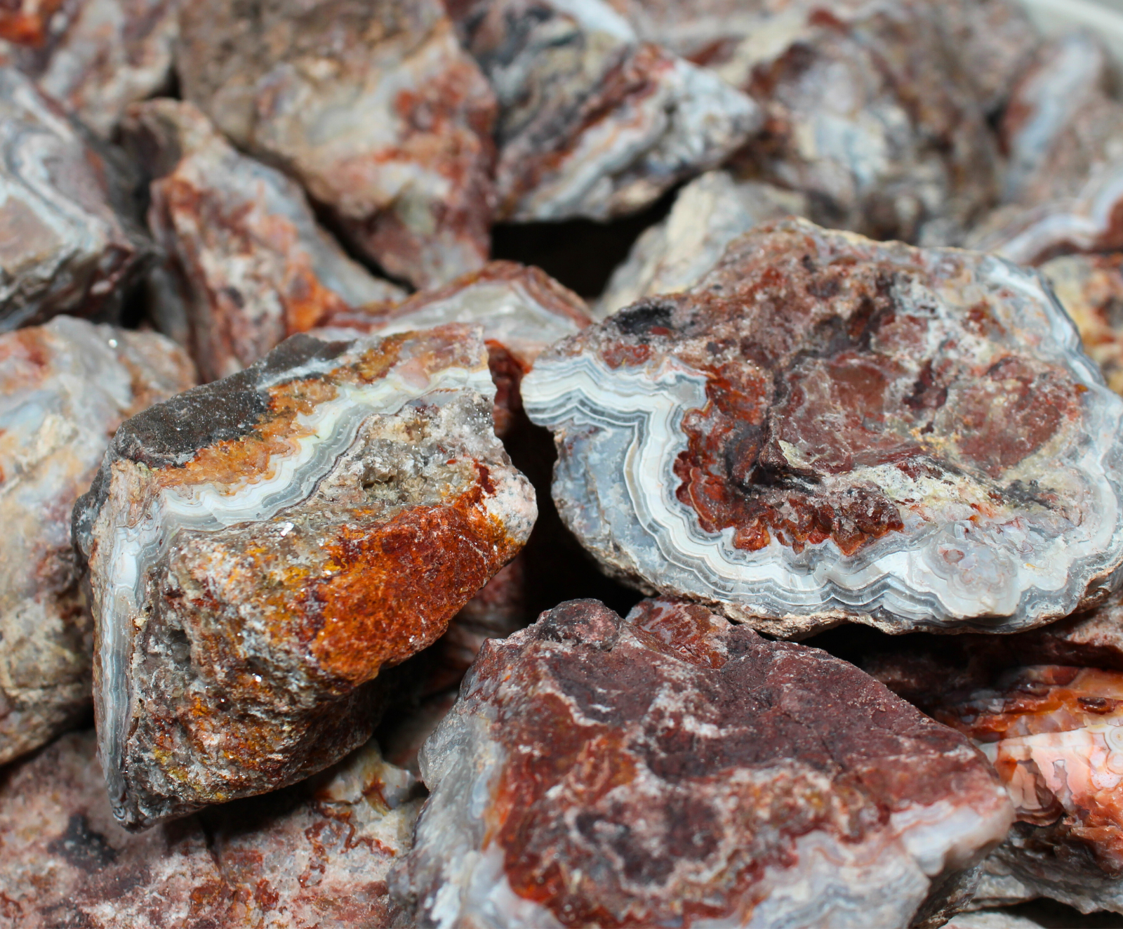Mexican Lace Agate - Rough Rocks for Tumbling from Mexico - Bulk ...