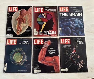 LIFE Magazine Lot of 6 Human Body & Brain Issues, Life Before Birth 1962-1971