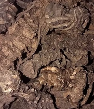 Valerian Root ~ Organic Dried Herb ~ Valeriana officinalis - Natural Bulk Herbs