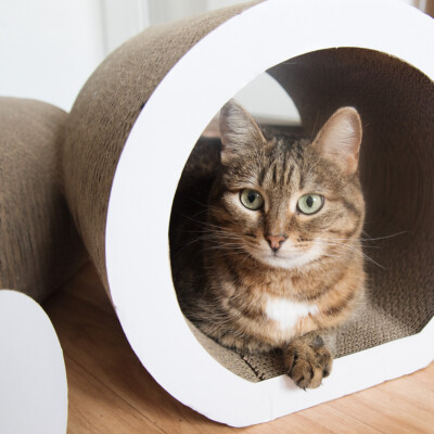 AnnonceGriffoirs pour chats - Griffoir chat - Grand choix de griffoirs