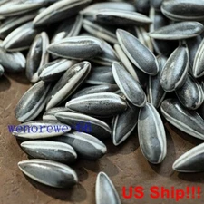 US Ship 100pcs Sunflower Seeds Set Art Ai Weiwei Porcelain Decoration Collection