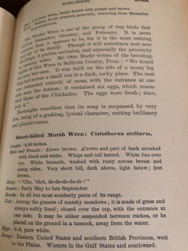 Birdcraft (1936) Mabel Osgood Wright 9th Edition Field Book Songbirds Plates - Picture 10 of 11