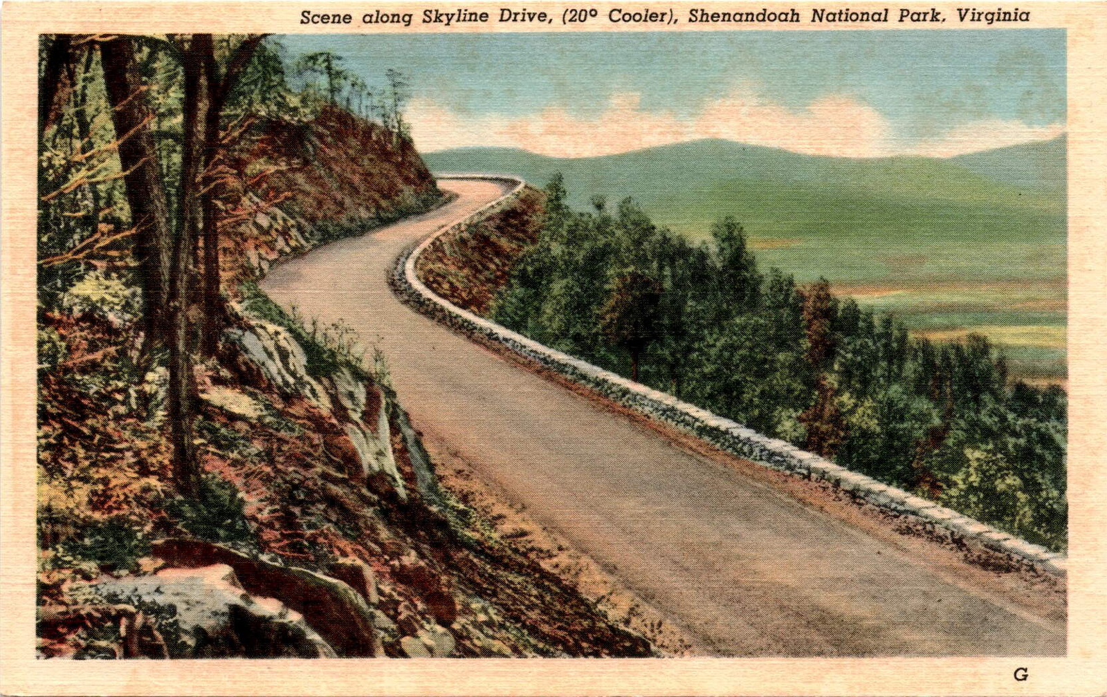 Skyline Drive, Shenandoah National Park, Virginia Postcard